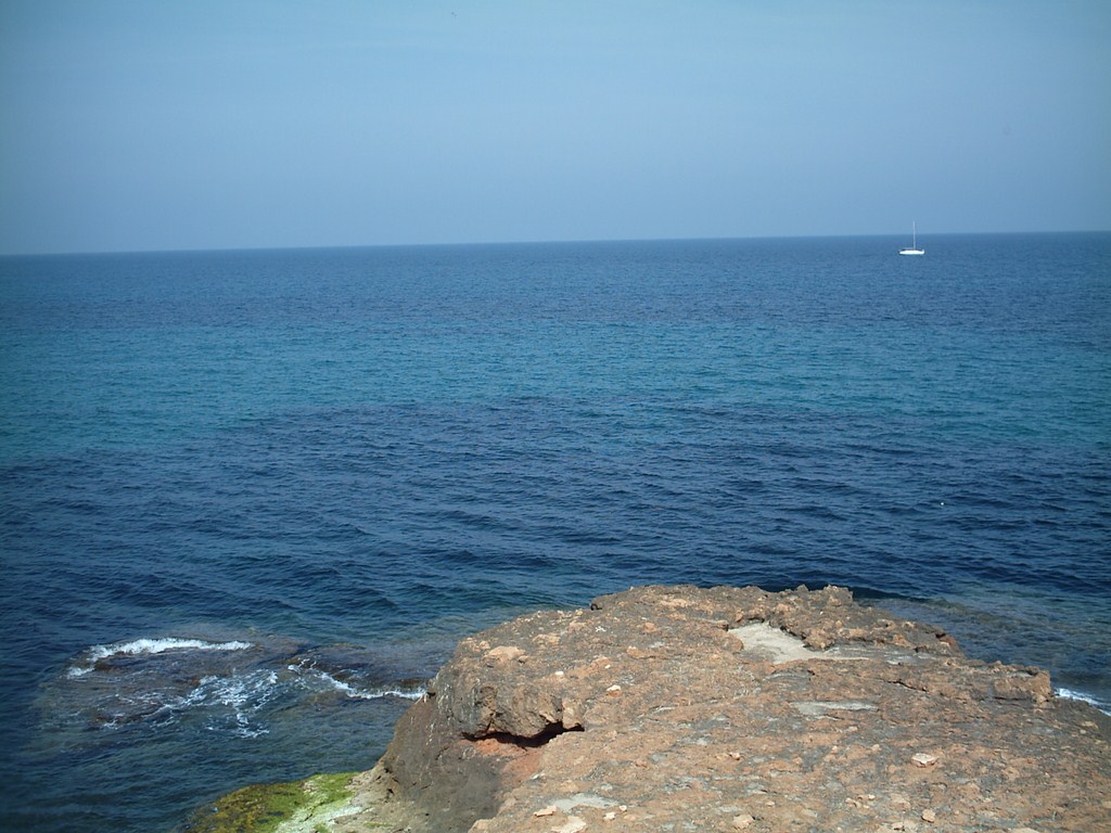 IMAG0003