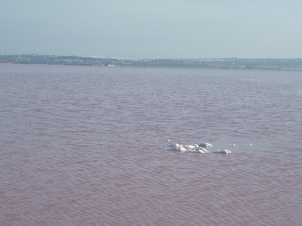 slaná jezera v Torrevieja