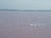 slaná jezera v Torrevieja